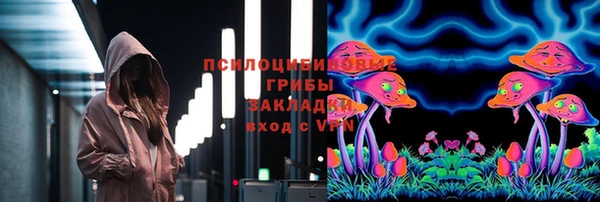 МДПВ Володарск