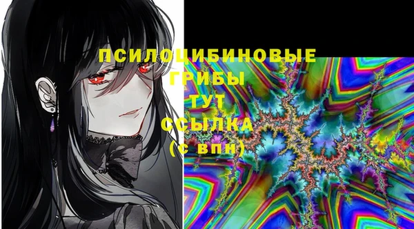 МДПВ Володарск