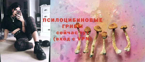 МДПВ Володарск