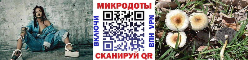 Псилоцибиновые грибы Cubensis Ноябрьск